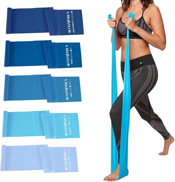 5 Pcs Professional Resistance Bands. Latex-Free, Elastic Band, Work Out Bands, Stretch Bands for Working Out Women or Men, Exercise Bands Set for Physical Therapy, Yoga, Pilates - Bloomnest