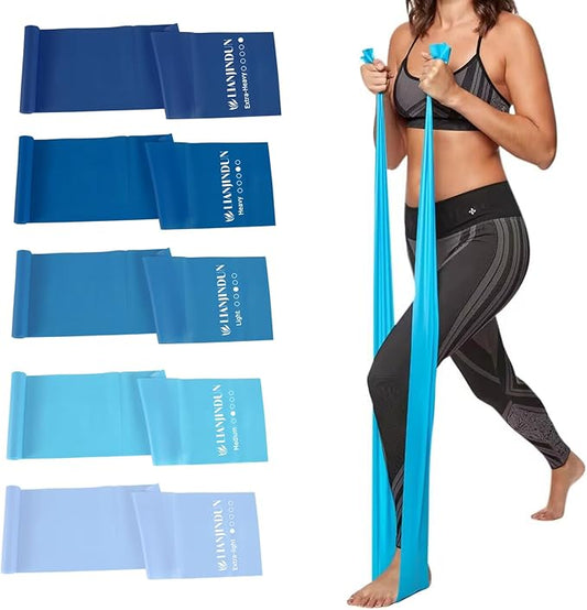 5 Pcs Professional Resistance Bands. Latex-Free, Elastic Band, Work Out Bands, Stretch Bands for Working Out Women or Men, Exercise Bands Set for Physical Therapy, Yoga, Pilates - Bloomnest