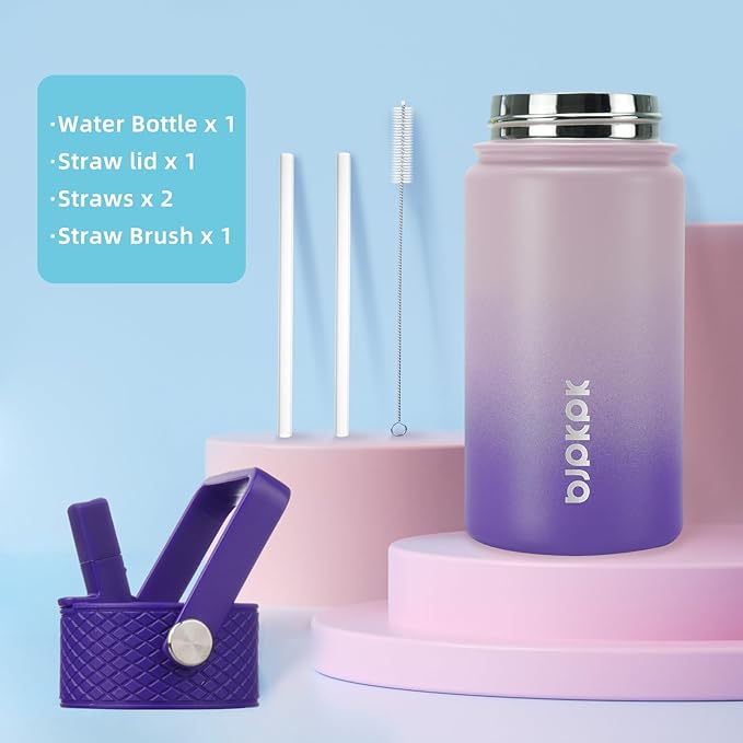 BJPKPK Insulated Water Bottle with Straw Lid, 15 oz Stainless Steel Metal Water Bottles, Reusable Leak Proof BPA Free Thermo, Flask, Cups - Violet - Bloomnest