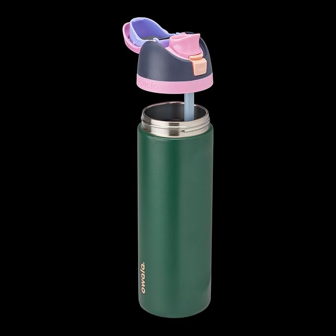 Owala FreeSip Insulated Stainless Steel Water Bottle with Straw for Sports and Travel, BPA-Free Sports Water Bottle, 24 oz, Blue/Green Forest Fairy Owala