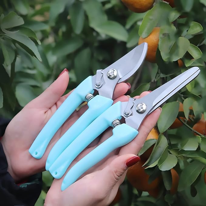 Premium Garden Shears, Pruning Scissors Gardening Tools, Pruners For Flower, Bushes, Rose And Fruit Tree, Use For Florist, Yard And Orchard the Plant Clippers, Sharp White Steel Anvil Snips - Bloomnest