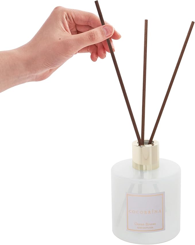 COCORRÍNA Reed Diffuser - Ocean Breeze Scented Diffuser with 8 Sticks Home Fragrance Reed Diffuser for Bathroom Shelf Decor - Bloomnest