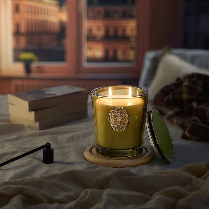 M&SENSE Large Two-Wick Soy Candle | Forest Cabin & Green | 19.8 oz, 120H Burn Time | Luxury Scented Candle for Relaxation, Gifting, Home Décor | Ideal for Bedroom, Office, Party Ambiance - Bloomnest