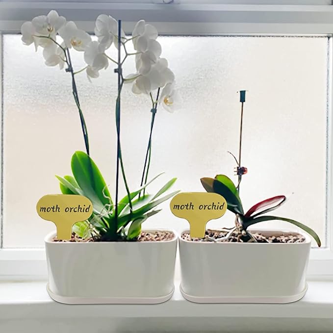 Window Box Planter with Saucers,10 Sets Rectangular Planter with Multiple Drainage Holes and Trays Plant Pots, for Succulent Cactus Flowers Vegetable - Bloomnest