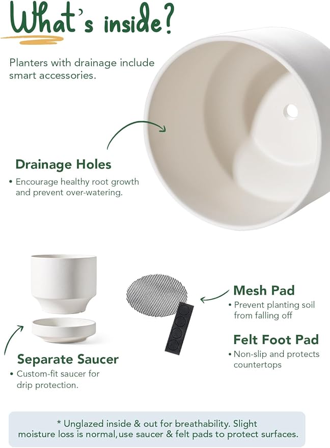 LE TAUCI 12 Inch Pots for Plants with Saucer | Ceramic Outdoor & Indoor Planter Pot for Plants | Drainage Hole, Mesh Pad & Plug | Unglazed Porous | Modern for Home, Office and Patio – Chalk White - Bloomnest