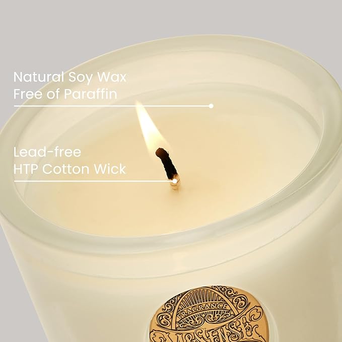 M&SENSE Natural Soy Candle | Vanilla Dream & White | 9.2 oz, 50H Burn Time | Luxury Scented Candle for Relaxation, Gifting, Home Décor | Ideal for Bedroom, Office, Party Ambiance - Bloomnest