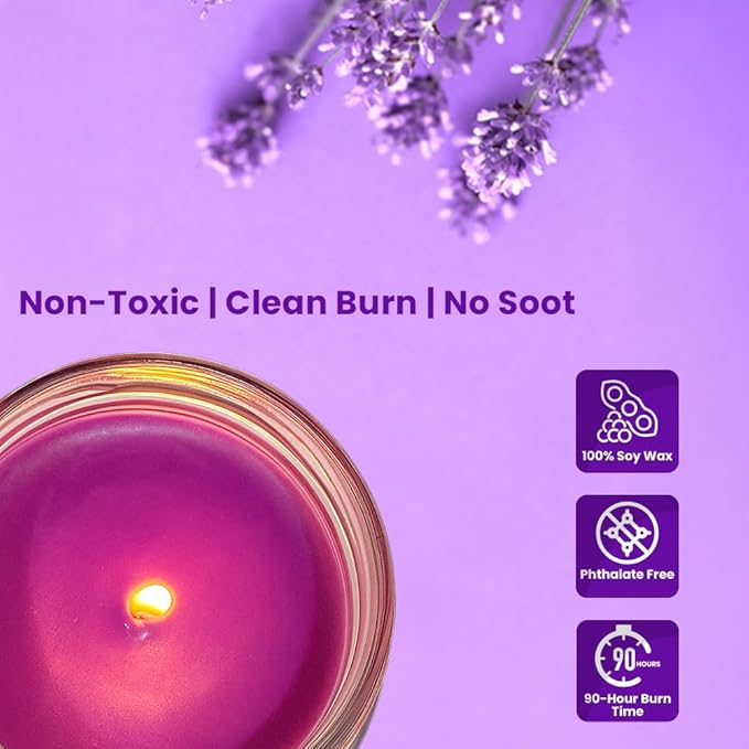 Candle Set Lavender Odor Eliminating – 2 Pack - 12oz – Long-Lasting Soy Wax Candles – Neutralizes Pet, Kitchen & Smoke Odors – Clean Burn, Eco-Friendly, Aromatherapy Candle - Bloomnest