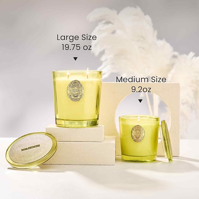 M&SENSE Large Two-Wick Soy Candle | Seattle Rainforest & Matcha Green |19.8 oz, 120H Burn Time | Luxury Scented Candle for Relaxation, Gifting, Home Décor | Ideal for Bedroom, Office, Party Ambiance - Bloomnest
