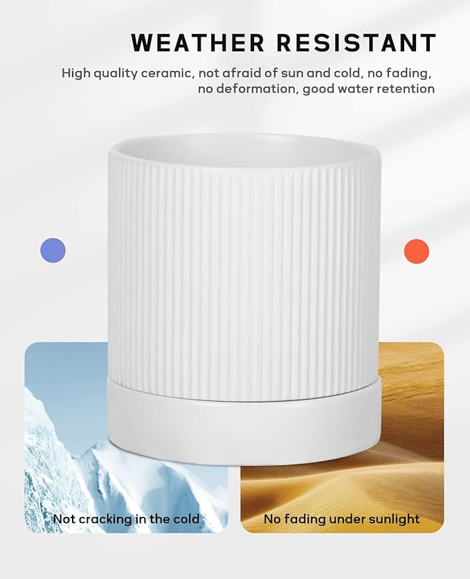LaDoVita 3 Pack Ceramic Plant Pots 6/5/4 inch, Flowerpot for Indoor Plants with Drainage Holes and Tray, Outdoor Garden Planters, Modern Decorative for Home, White Vertical Stripes - Bloomnest