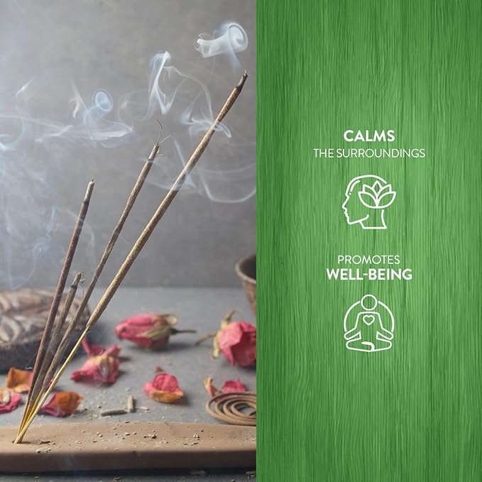 Hem Arruda Masala Incense Sticks | Natural Fragrance of Sandalwood for Positivity | Smudge Healing Incense for Stress Relief & Cleansing | Gift Set - Pack of 12 (15 GMS Each)