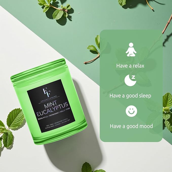 Mint Eucalyptus Scented Candle, 2-Wick Luxury Soy Wax Candle, 9 oz Aromatherapy Candle Home Fragrance Candles Gift - Bloomnest