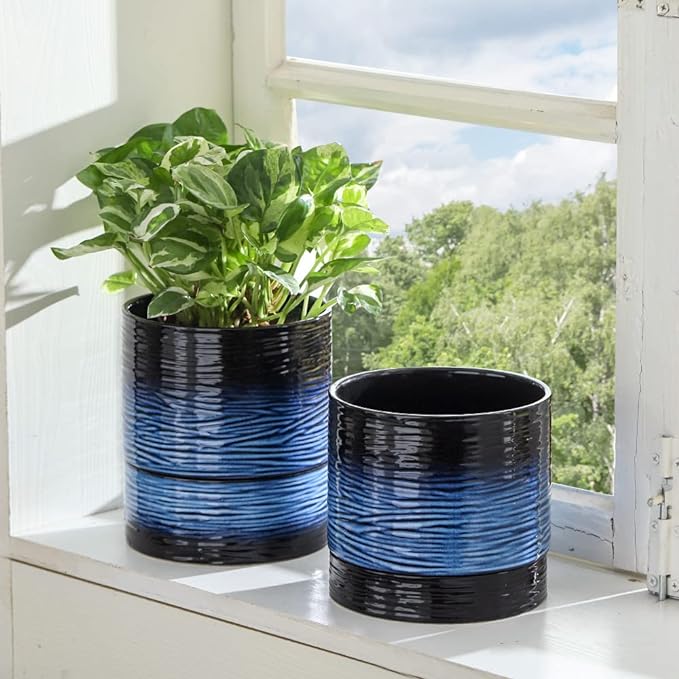Nihow Self Watering Plant Pot: 6 Inch Ceramic Planter with Drainage Hole & Water Storage Plus for Indoor & Outdoor Plants - Cylinder Round Flower Pot for Succulent/Herbs/Violets - Black & Vivid Blue - Bloomnest