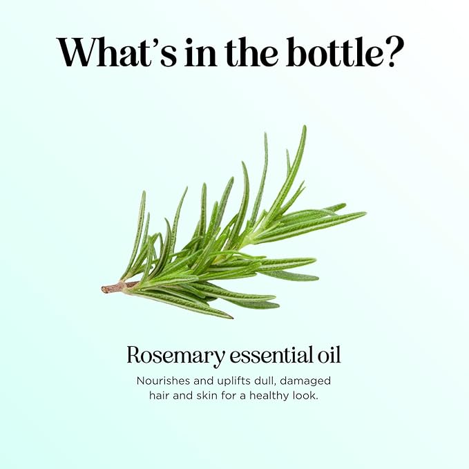 Pure Rosemary Essential Oil Bulk Size - Undiluted Rosemary Oil for Hair Skin and Nails and Refreshing Aromatherapy Oil for Diffusers - Cleansing Essential Oil for Dry Scalp Care 8oz - Bloomnest