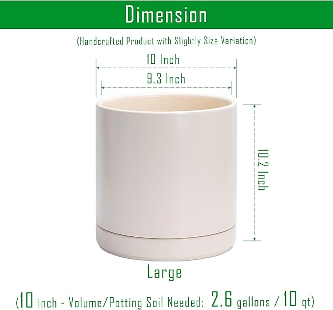 D'vine Dev Set of 2 Plants Pots, 10 Inch Ceramic Planter Pot for Plants with Drainage Hole and Saucer, Oatmeal, 94-V-E-8 - Bloomnest