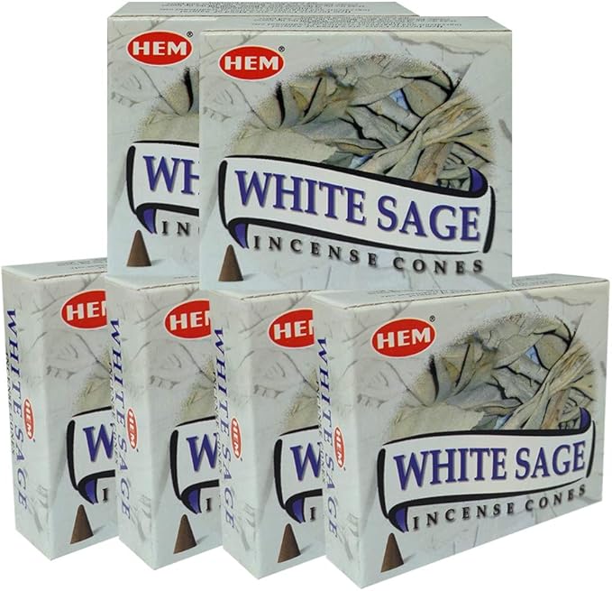 TRUMIRI Incense Cone Holder Bundle with Hem White Sage Incense Cones - Pack of 6 (Approx 60 Cones) TRUMIRI
