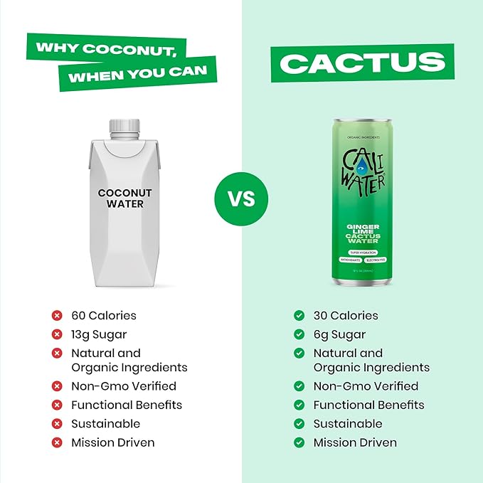 Caliwater - Organic Cactus Water - Ginger and Lime - 5g Sugar, 25 Calories - Coconut Water Alternative - Natural Plant Based Hydration - Skin Care, Electrolyte Drinks - Flavored Water - 12 Cans - Bloomnest