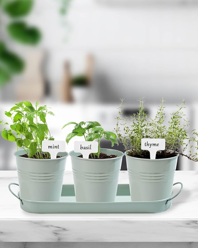 vensovo Indoor Herb Planter Set - Galvanized Windowsill Garden Pots with Tray & Drainage, Set of 3 Metal Window Planters for Kitchen & Outdoor Use, Light Green - Bloomnest