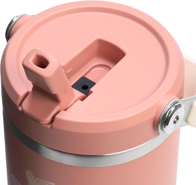 Stanley IceFlow 2.0 Flip Straw Tumbler with Handle 30 oz | Twist On Lid and Flip Up Straw | Leak Resistant Water Bottle | Insulated Stainless Steel | BPA-Free | Exclusive Sienna - Bloomnest
