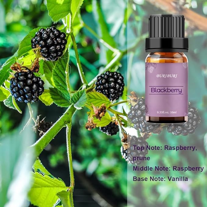 BURIBURI BlackBerry Essential Oil 10ml Premium Grade Scented Oil BlackBerry Fragrance Oil for Diffusers, Massage, Candle Making Soap Making BURIBURI