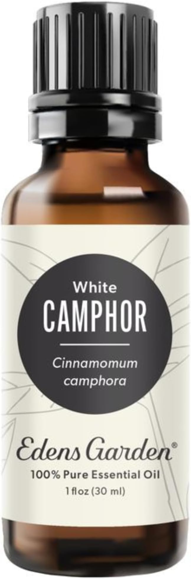Edens Garden Camphor- White Essential Oil- 100% Pure Premium Grade, Undiluted, Natural, Therapeutic, Aromatherapy, The Best for Diffuser, Hair, Laundry, Humidifiers 30 ml (1 fl oz) EdensGarden