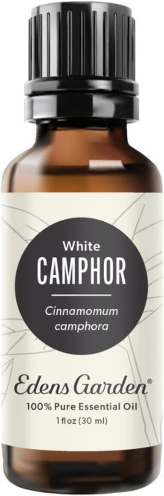 Edens Garden Camphor- White Essential Oil- 100% Pure Premium Grade, Undiluted, Natural, Therapeutic, Aromatherapy, The Best for Diffuser, Hair, Laundry, Humidifiers 30 ml (1 fl oz) EdensGarden