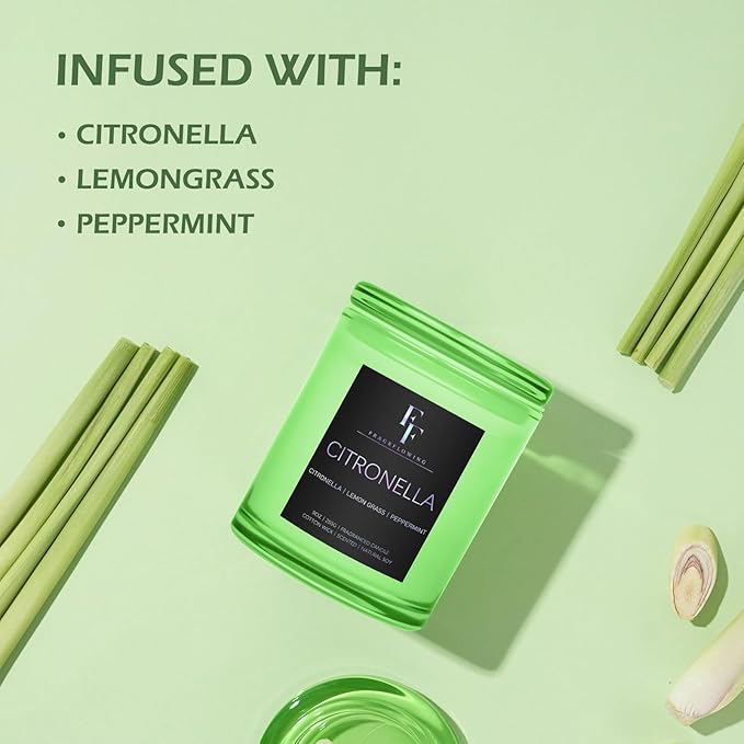 Citronella Candles Outdoor, 2-Wick Outdoor Indoor Scented Candle, Jar Candles for Home Scented, Long Lasting Natural Soy Candle, Summer Scents of Citronella/Lemon Grass/Peppermint, 9 oz - Bloomnest