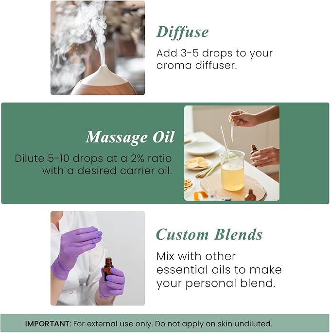 Handcraft Blends Lemon Eucalyptus Essential Oil – Huge 4 Fl Oz – 100% Pure and Natural – Premium Grade Essential Oil for Diffuser and Aromatherapy, Skin, Massage, Candle and Soap Making Fragrance - Bloomnest