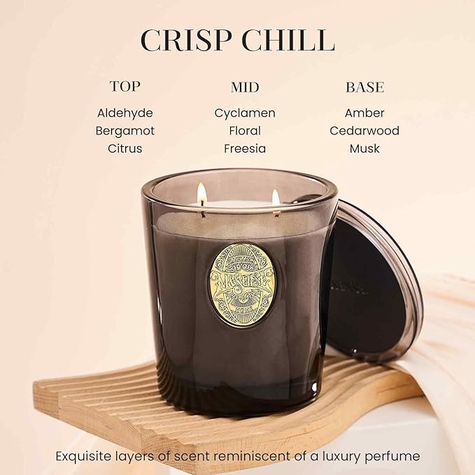 M&SENSE Large Two-Wick Soy Candle | Crisp Chill & Black | 19.8 oz, 120H Burn Time | Luxury Scented Candle for Him,for Relaxation, Gifting, Home Décor | Ideal for Bedroom, Office, Party Ambiance - Bloomnest