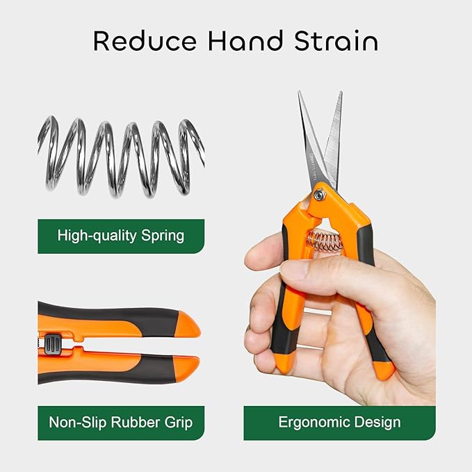 GROWNEER 6 Packs Pruning Shears Gardening Hand Pruning Snips with Straight Stainless Steel Precision Blades - Bloomnest