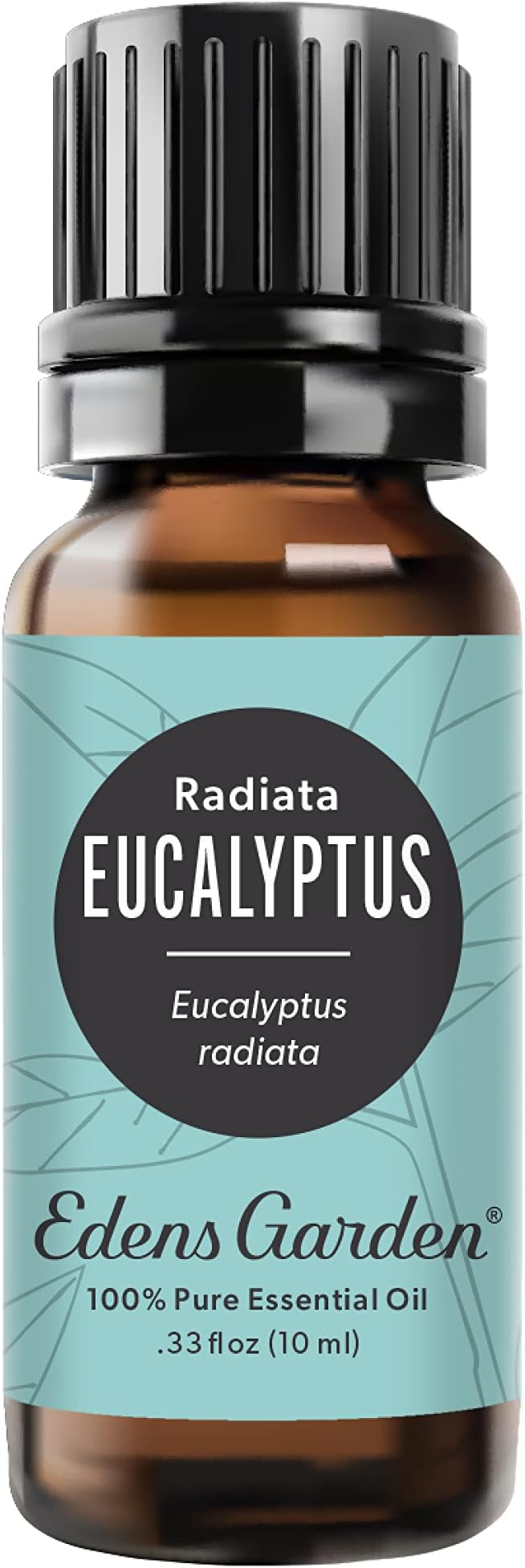 Edens Garden Eucalyptus- Radiata Essential Oil- 100% Pure Premium Grade, Undiluted, Natural, Therapeutic, Aromatherapy, The Best for Diffuser, Laundry, Hair, Humidifiers 10 ml (.33 fl oz) EdensGarden