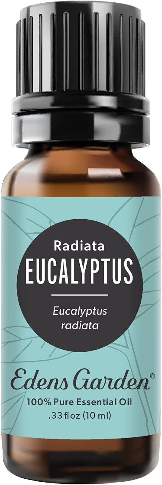 Edens Garden Eucalyptus- Radiata Essential Oil- 100% Pure Premium Grade, Undiluted, Natural, Therapeutic, Aromatherapy, The Best for Diffuser, Laundry, Hair, Humidifiers 10 ml (.33 fl oz) EdensGarden