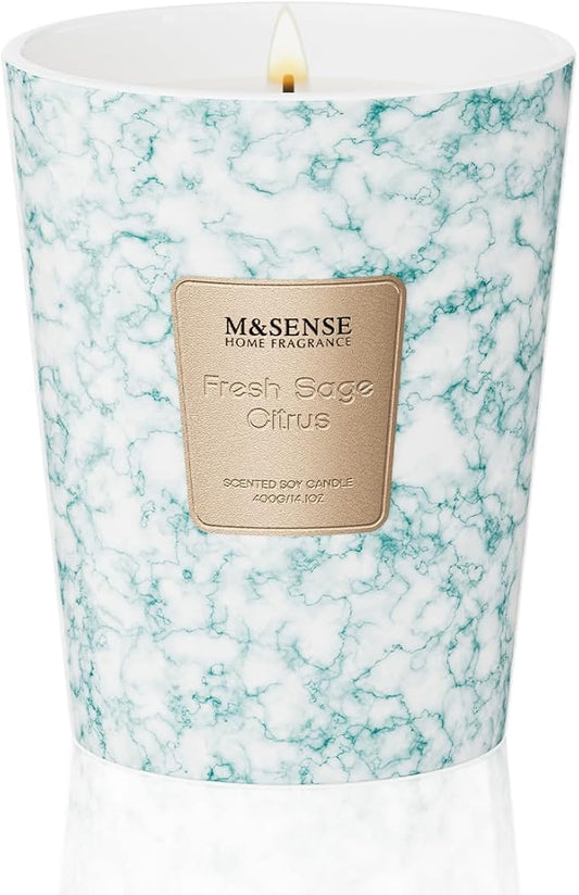 M&SENSE FreshSage Citrus Scented Candles for Home, Lead-Free Wick Highly Scented Jar Candles, 14.1 Oz 80 Hours Lasting Burning Candles Gifts for Women, Relaxing Aromatherapy Candle for Stress Relief - Bloomnest