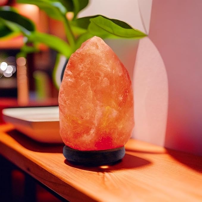 Needs&Gifts Himalayan Salt Lamp with Natural Himalayan Crystal Rock, Hand Crafted Wooden Base from Foothills of The Himalayas, Home Decor, Night Light & Gifts - Bloomnest