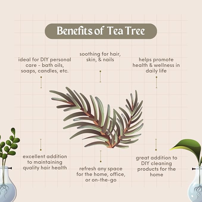 Tea Tree (Australia) Essential Oil - 16 fl oz (473 ml) Amber Glass Bottle w/Cap - 100% Pure Essential Oil - GreenHealth - Bloomnest