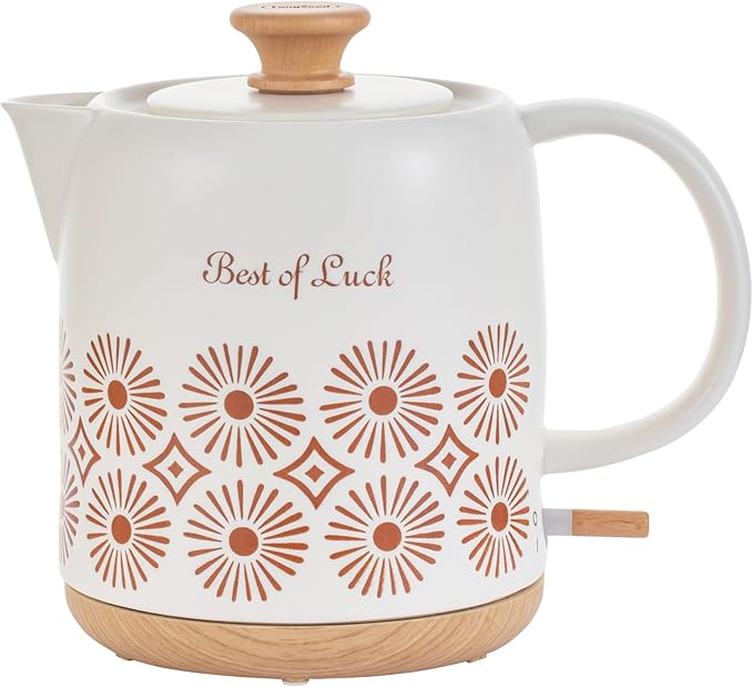 Ceramic Electric Kettle 1 Quarts, Automatic Shut Off, Porcelain Teapot, Hot Water Electric Boiler with LED Light, Boil Dry Protection, Short Spout 1000W Rapid Boiling Water for Tea Coffee - Bloomnest