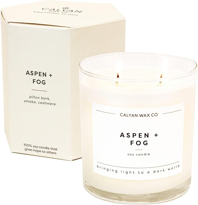 Calyan Wax Co. 2 Wick Candle, Aspen + Fog Scented Candle, 37 Hour Burn Time, Aromatherapy Soy Candles, Non Toxic & Vegan Soy Wax, Glass Tumbler Scented Candles, 8.8oz - Bloomnest