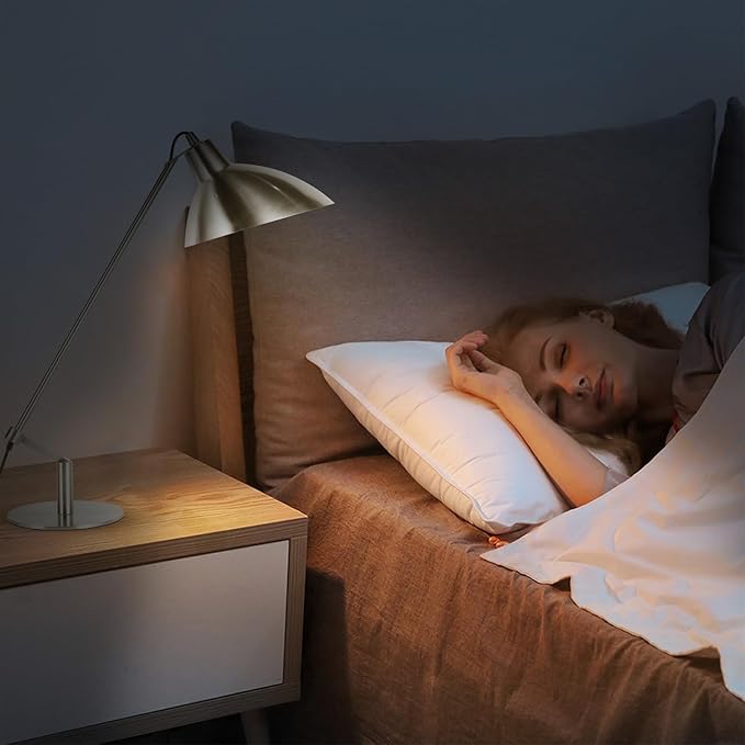 Desk Lamp Modern Industrial 100% Metal Table Lamp 22", Soft White Light (3000K) with Adjustable Switch, Ideal for Office Bedroom Study Room Living Room Nightstand Bedside Lamps Nickel - Bloomnest