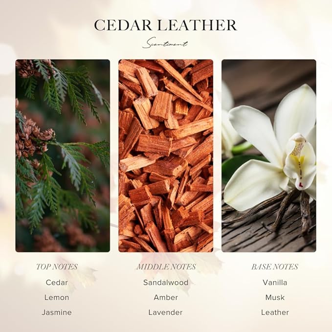 Scentiment Diffuser Oil - Cedar Leather Fall Collection | Aromatherapy Home Fragrance | Luxurious Scent with Lemon, Jasmine Sandalwood, Amber, Lavender, Vanilla, & Musk (50ml) Scentiment