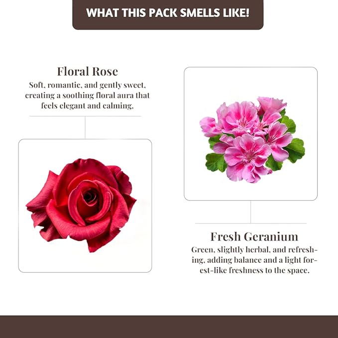 Folkulture Incense Sticks with Holder (100 Sticks)| Rose & Geranium Incents Stick for Aromatherapy, Relaxation | No Charcoal,Organic,Non Toxic, 45 Mins, Slow Burning Insence-Sticks - Forest Inspired