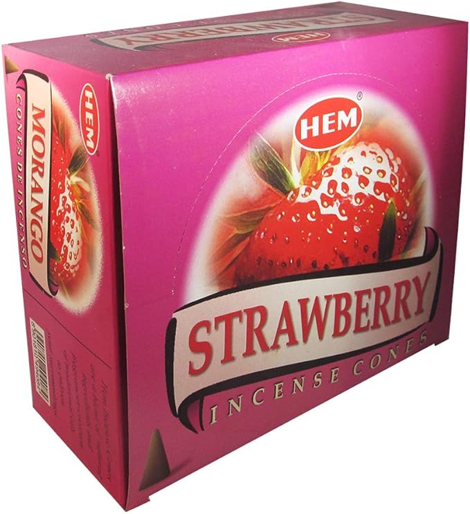 Strawberry Incense Cones and Cone Incense Burner Bundle Insence Insense Hem Incense TRUMIRI
