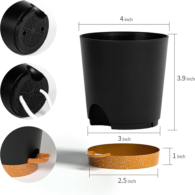 4 inch Small Plant Pots for Outdoor Indoor Plants, 10 Pack Planters with Drainage Holes and Tray, Small Self Watering Pots for Succulent, Cactus, Aloe and Other Plants (Black) - Bloomnest