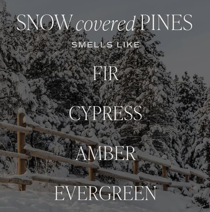Sweet Water Decor Snow Covered Pines Christmas Scented Candles - Christmas Stocking Stuffers Soy Candles Cypress Scent - Christmas Candles with 70 Hours Burn Time - 15Oz Green Matte Jar Wax Candles - Bloomnest