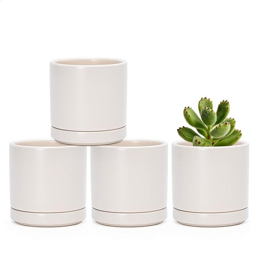 D'vine Dev Set of 4 Small Ceramic Plant Pots, 3.5 Inch Succulent Planter Pot for Plants with Drainage Hole and Saucer, Oatmeal, 94-X-A-8 - Bloomnest