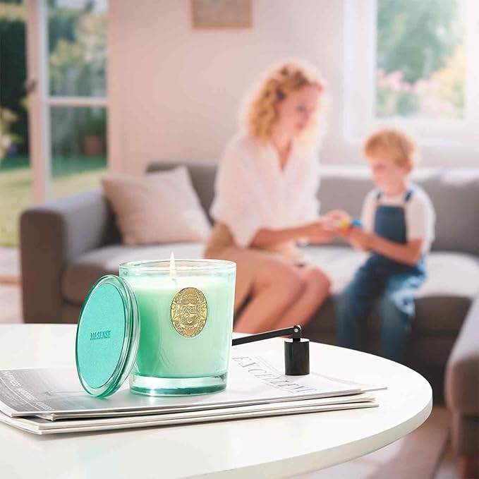 M&SENSE Natural Aromatherapy Soy Candle | Eucalyptus Mint & Blue | 9.2 oz, 50H Burn Time | Luxury Scented Candle for Relaxation, Gifting, Home Décor | Ideal for Bedroom, Office, Party Ambiance - Bloomnest