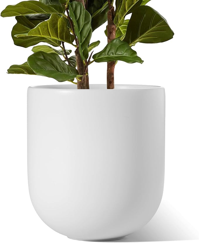 LE TAUCI 12 Inch Pots for Plants, Ceramic Large Planters for Indoor Plants, Indoor Plant Pots for Home Garden Patio Office, Planter Pots with Drainage Hole and Rubber Plug, White - Bloomnest