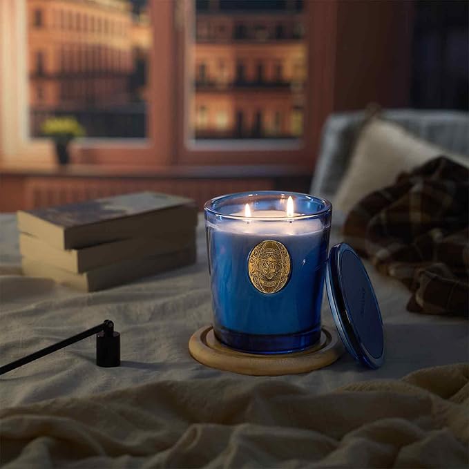 M&SENSE Large Two-Wick Summer Soy Candle | Ocean Dream & Blule | 19.8 oz, 120H Burn Time | Luxury Scented Candle for Relaxation, Gifting, Home Décor | Ideal for Bedroom, Office, Party Ambiance - Bloomnest