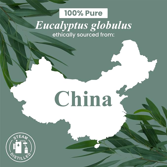 Handcraft Blends Eucalyptus Essential Oil – 0.33 Fl Oz – 100% Pure and Natural – Premium Grade Essential Oil for Diffuser and Aromatherapy, Skin, Massage, Candle and Soap Making Fragrance - Bloomnest