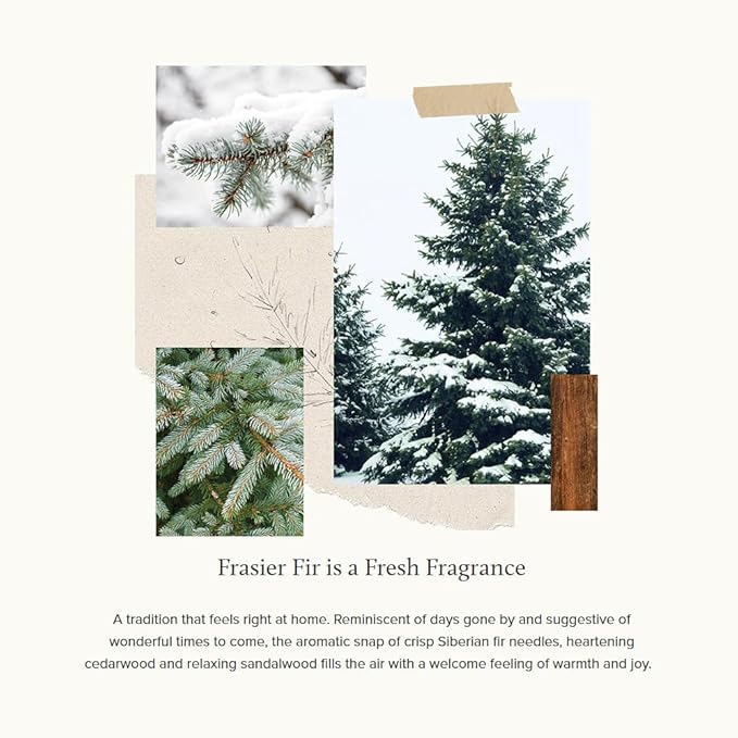 Thymes Frasier Fir Reed Diffuser Set – Includes Reeds, Fragrance Oil, and Frosted Glass Bottle – Fragrance Oil Diffuser – Room Fresheners – Luxury Home Decor – Silver (Statement, 4 fl oz) - Bloomnest
