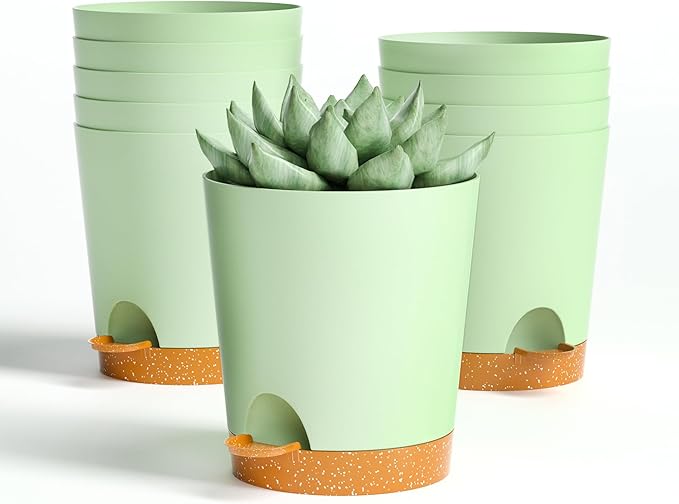 4 inch Small Plant Pots for Outdoor Indoor Plants, 10 Pack Planters with Drainage Holes and Tray, Small Self Watering Pots for Succulent,Cactus, Aloe and Other Plants (Green) - Bloomnest