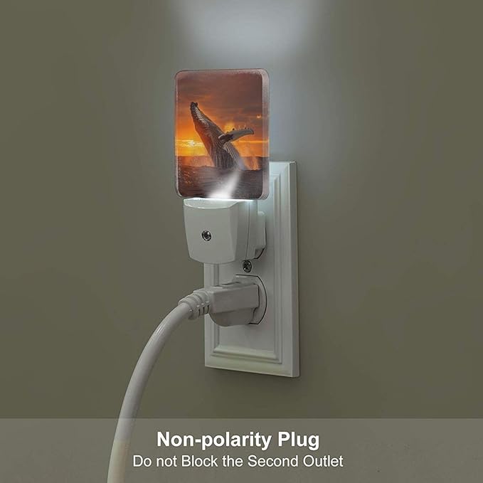 Sunset Humpback Whale Night Light,Plug Into Wall for Boys Girls Bedroom Decorative Square Night Light Lamp 0.5w Sleep Friendly